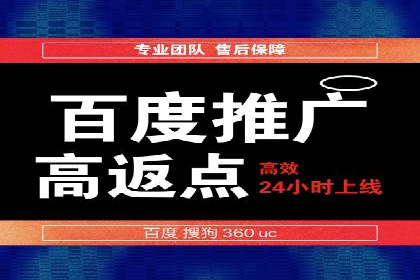 SEO与百度推广结合的营销策略——经典案例解析